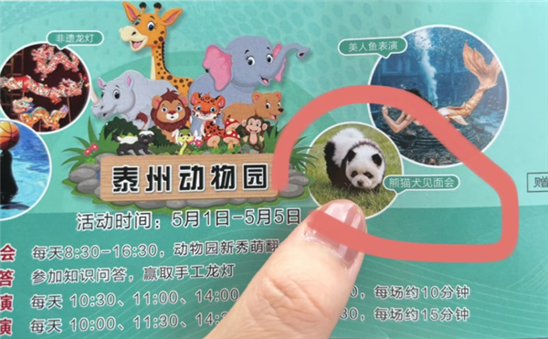 江苏泰州动物园有狗冒充熊猫 园方：确实是松狮染的 ！
