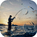 海洋天气通软件app免费版下载